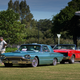 Illustration for article titled New Zealand: Caffeine Classics Photo Dump